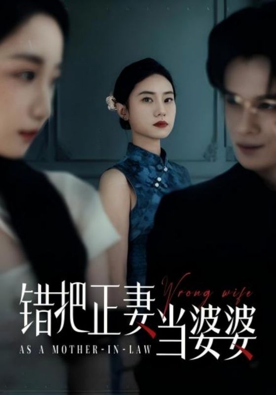 错把正妻当婆婆(全集)