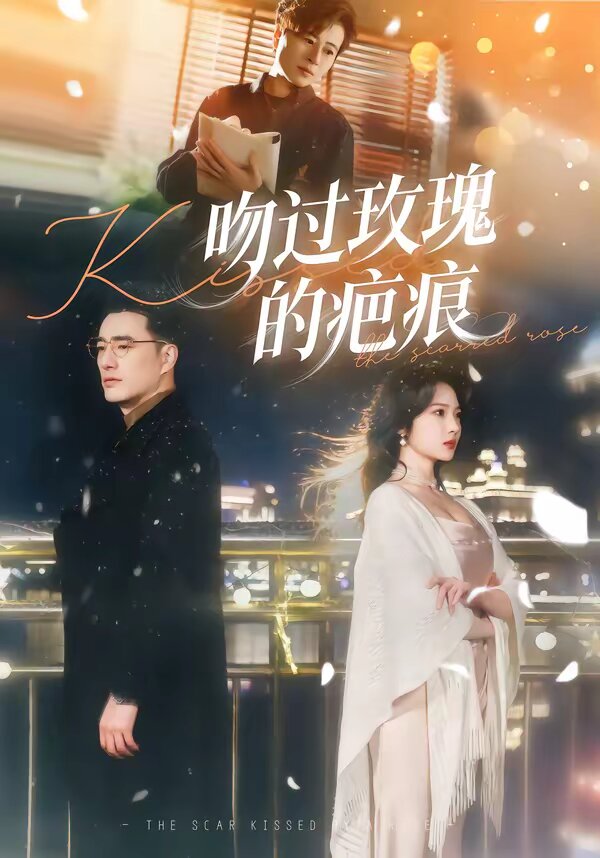 吻过玫瑰的疤痕(全集)